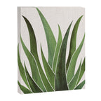 Desert Agave Succulent Illustration Canvas Print Gallery Image 6