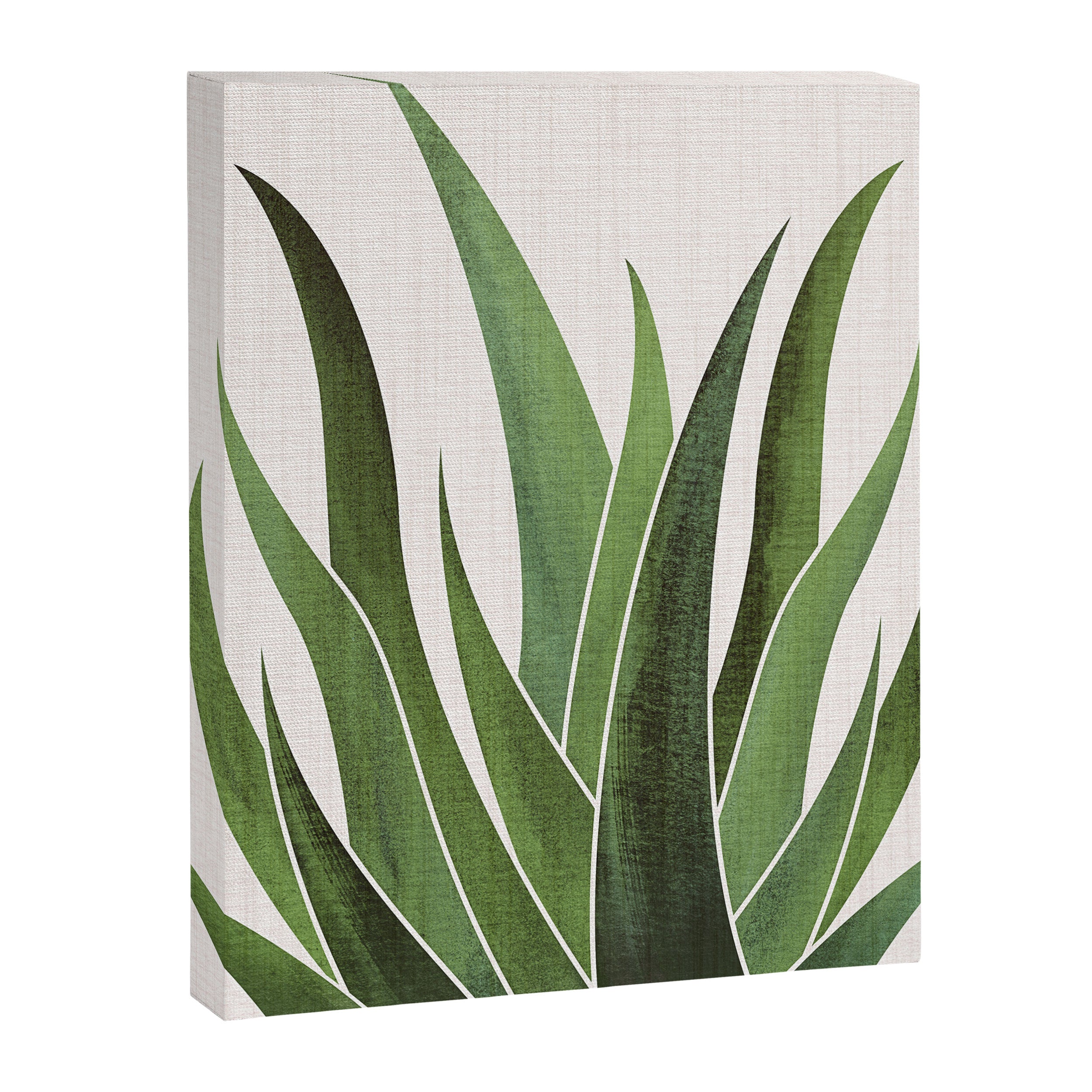 Desert Agave Succulent Illustration Canvas Print Gallery Image 6