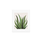 Desert Agave Succulent Illustration Art Print Gallery Image 1