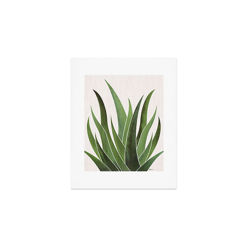 Desert Agave Succulent Illustration Art Print Gallery Image 1