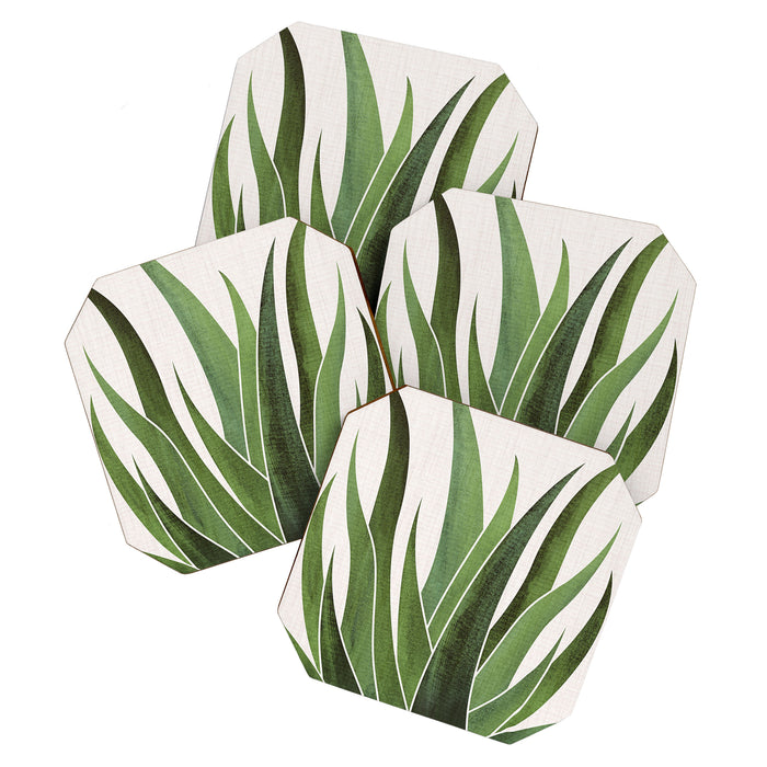 Desert Agave Succulent Illustration Coaster Gallery Image 1