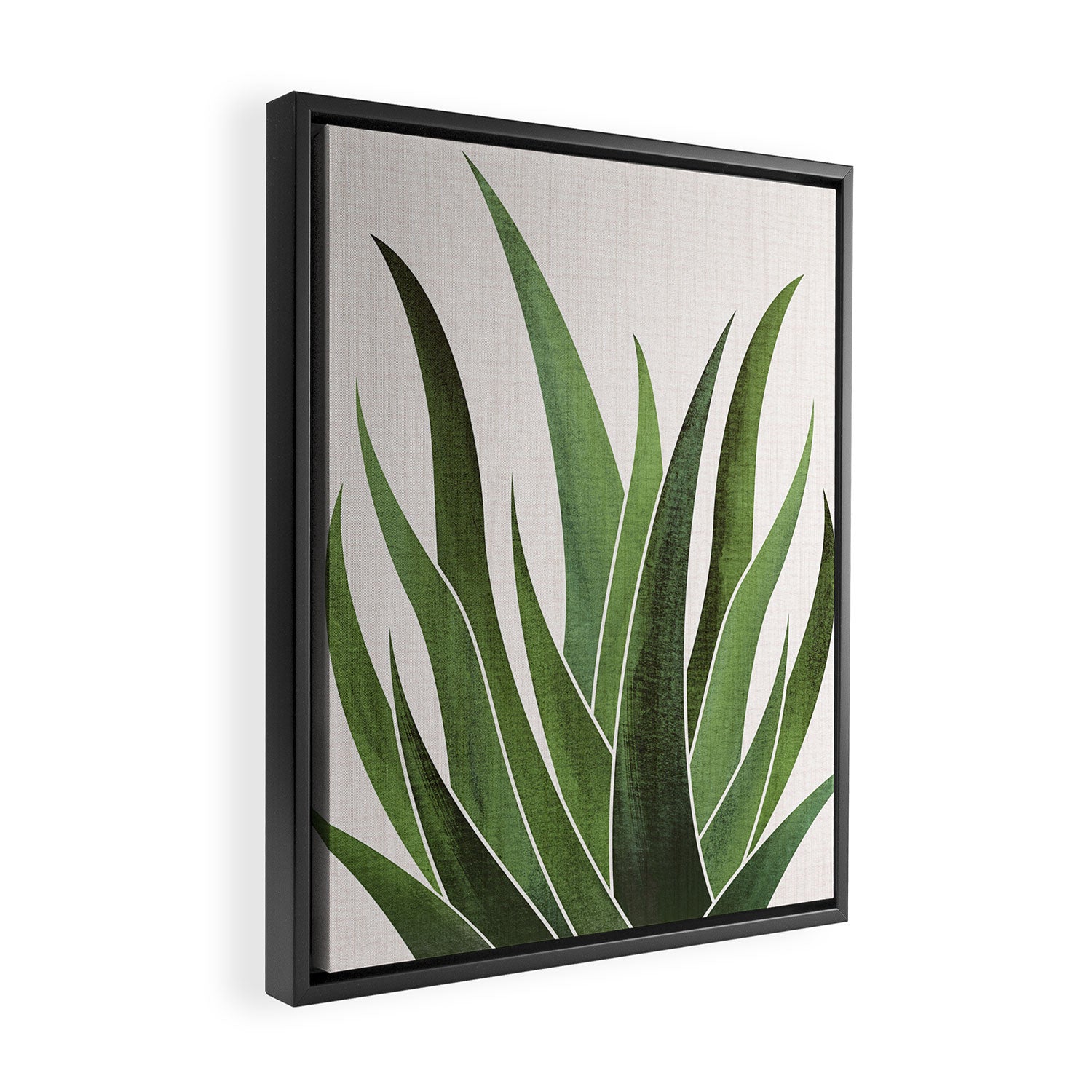 Desert Agave Succulent Illustration Framed Canvas Print Gallery Image 2