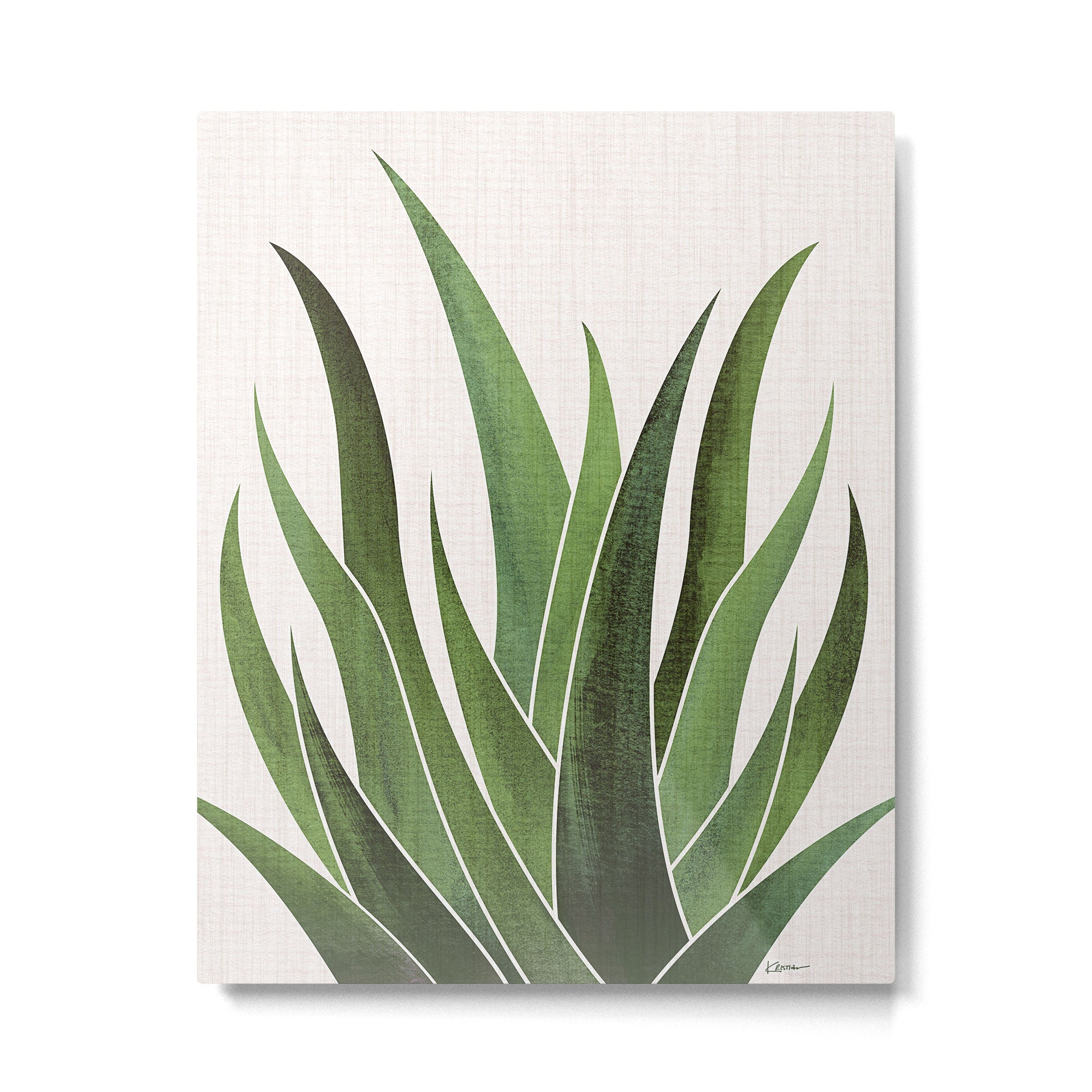 Desert Agave Succulent Illustration Metal Print Gallery Image 4