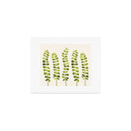 Eucalyptus Sprouts - Cute Plant Illustration Art Print Gallery Image 1