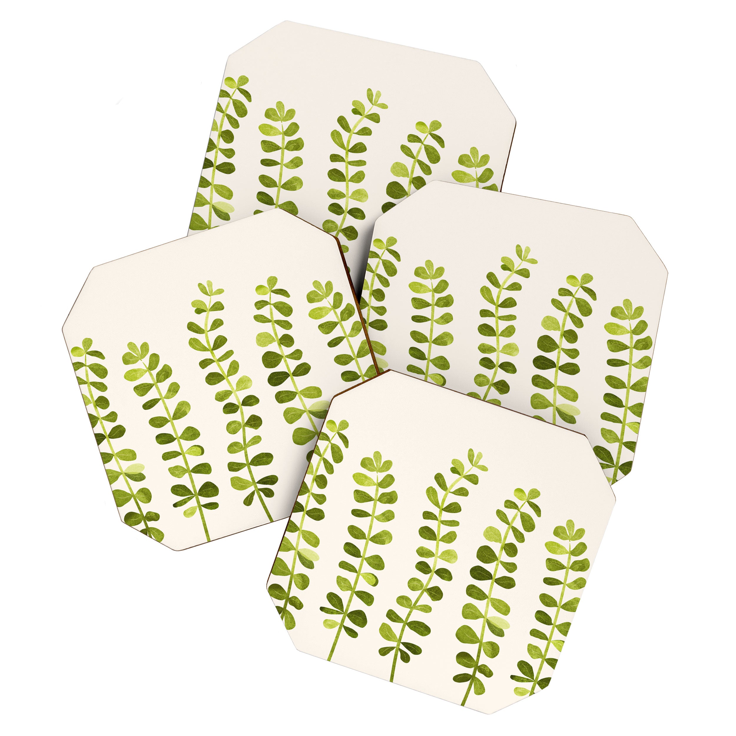 Eucalyptus Sprouts - Cute Plant Illustration Coaster Gallery Image 1