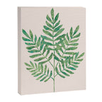 Fern Frond Canvas Print Gallery Image 6