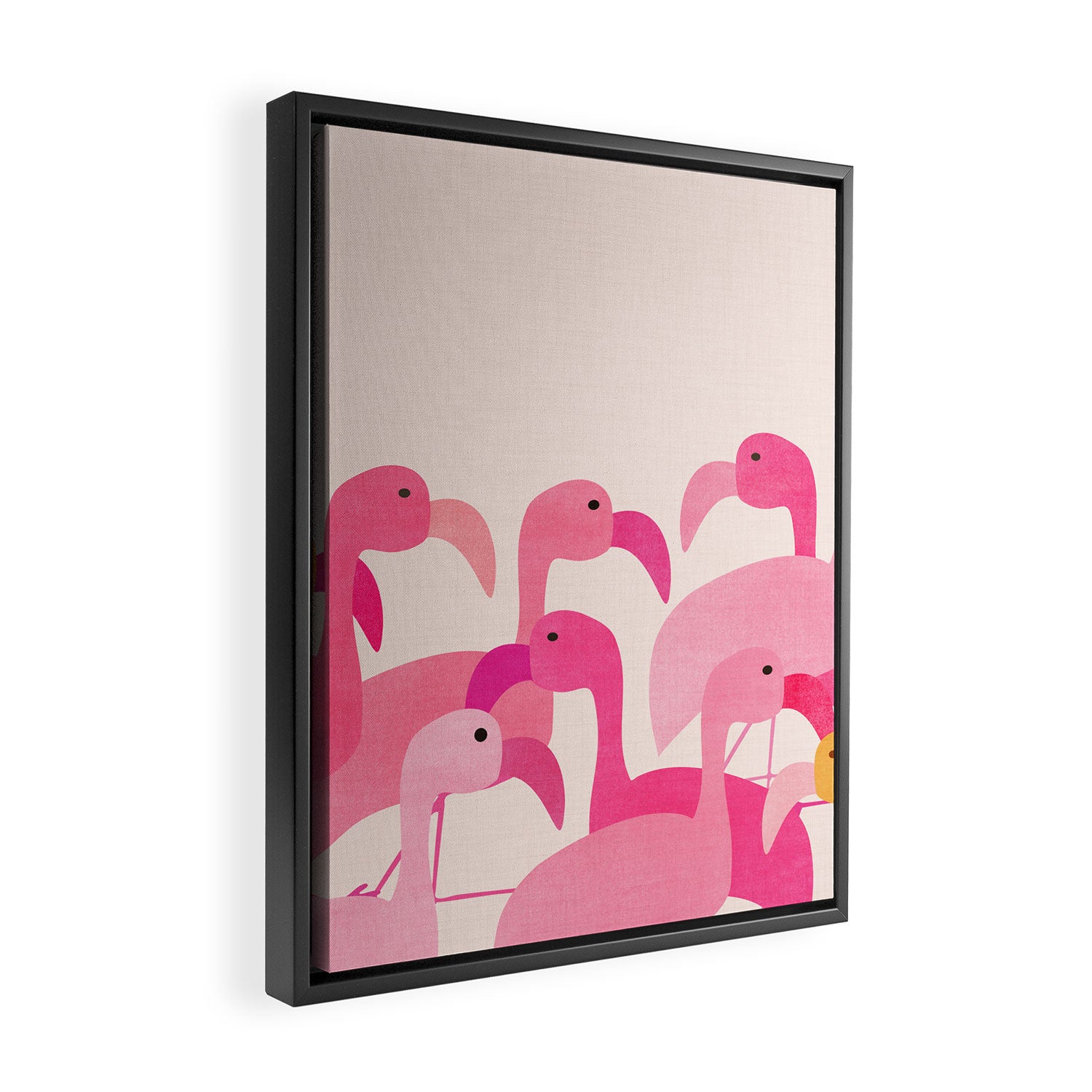 Florida Flamingos Framed Canvas Print Gallery Image 2