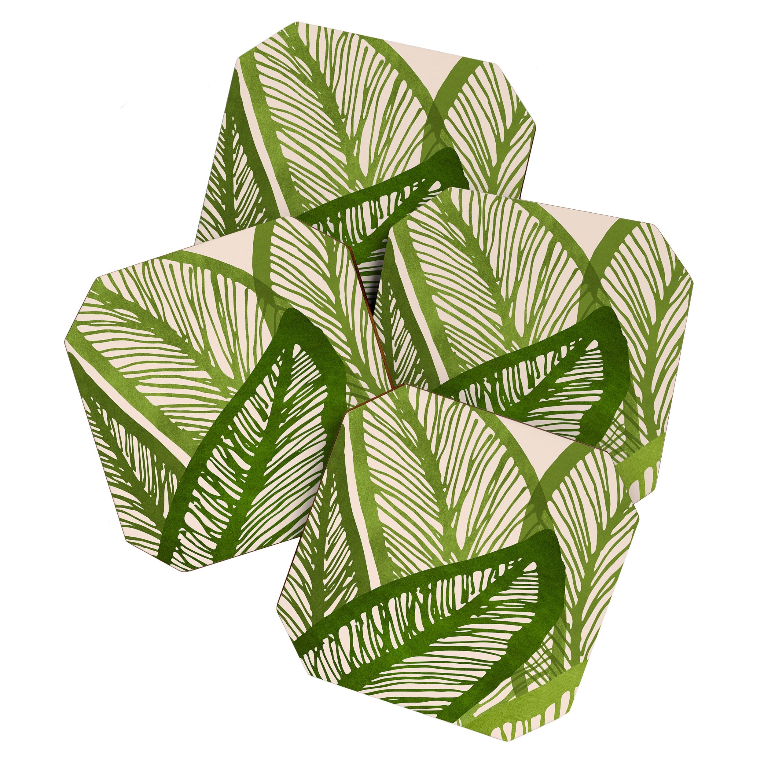Green Tropics Coaster Gallery Image 1
