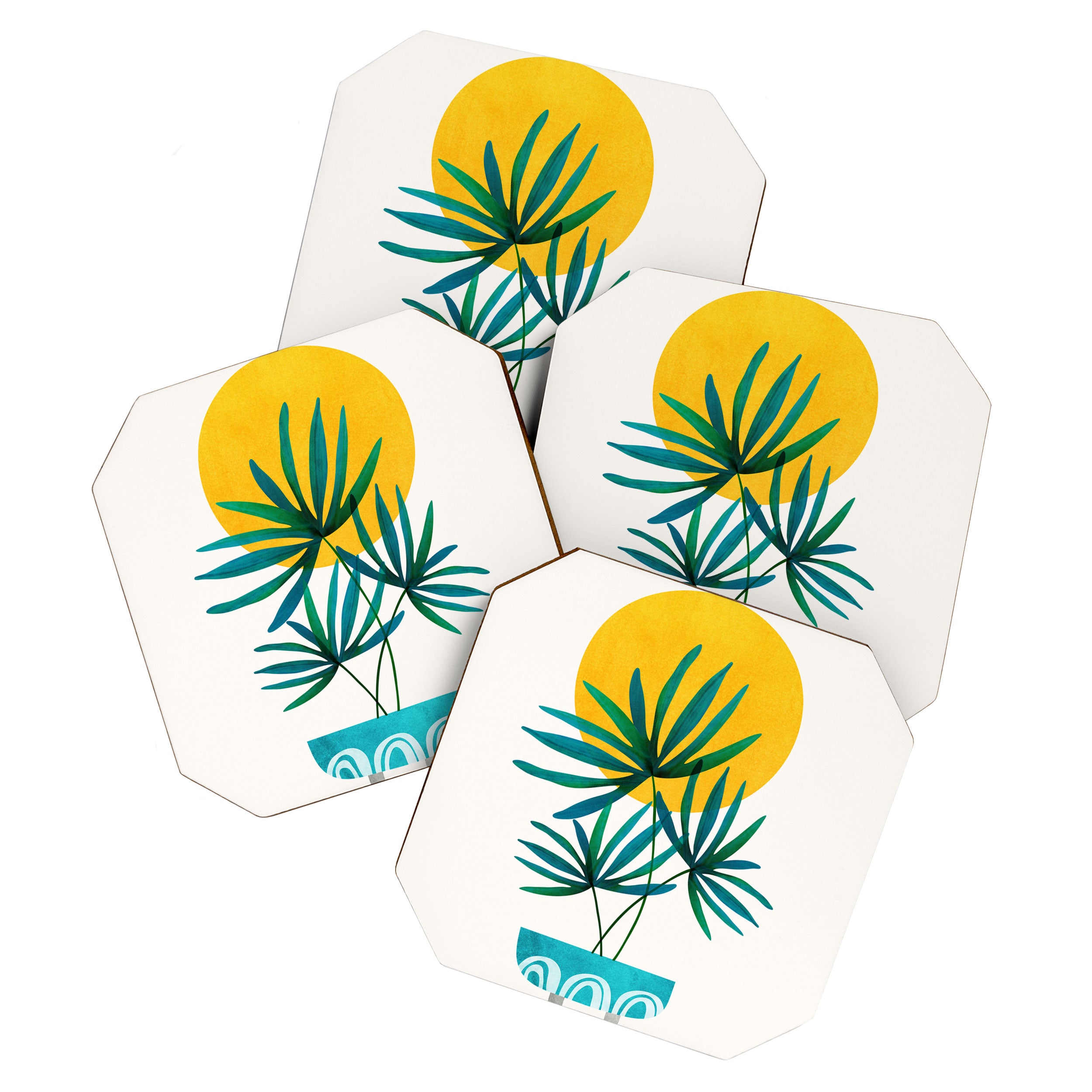 Little Palm + Sunshine Coaster Gallery Image 1