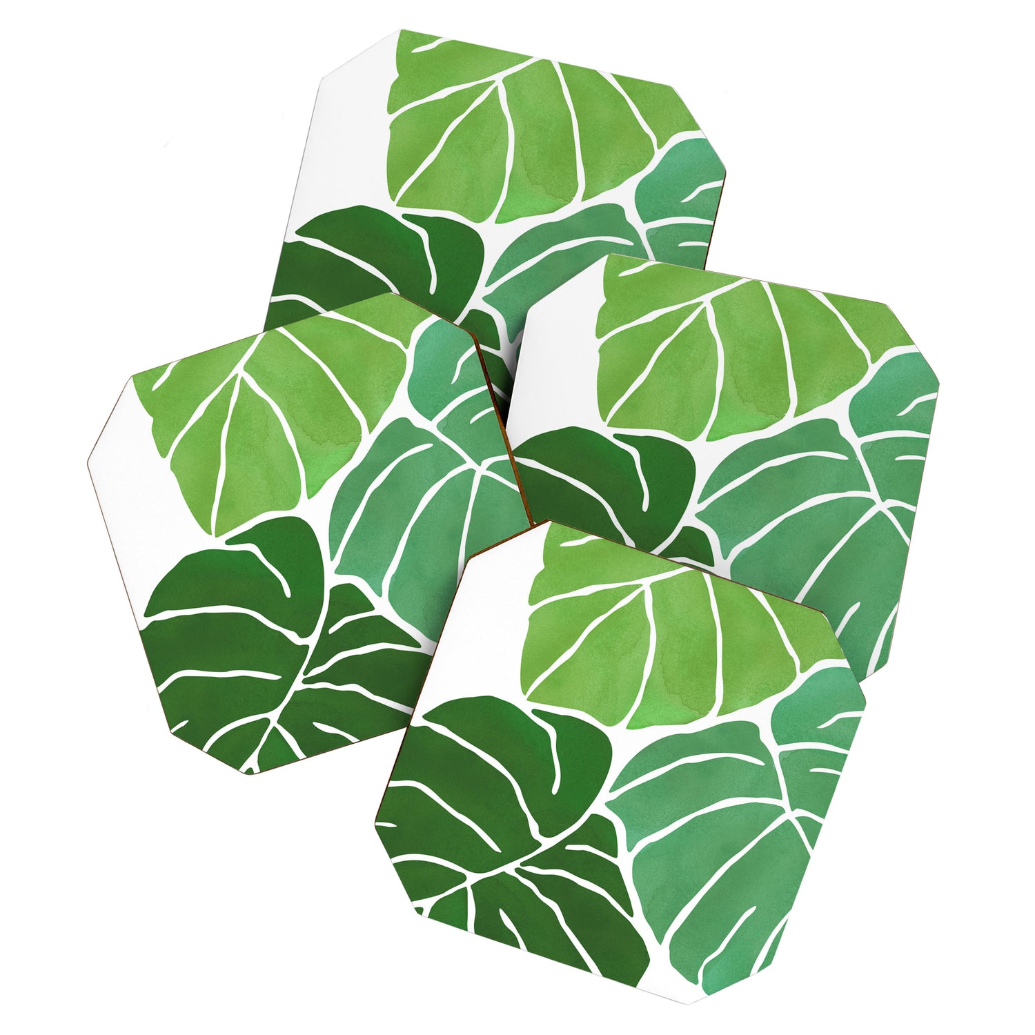 Monstera Tropical Plant Painting Coaster Gallery Image 1