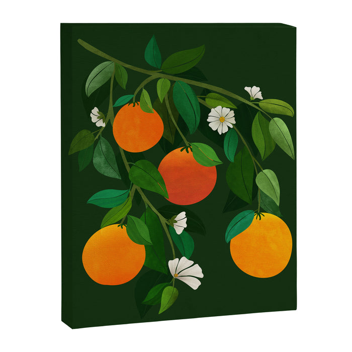 Oranges and Blossoms Botanical Illustration Canvas Print Gallery Image 1