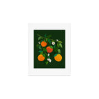 Oranges and Blossoms Botanical Illustration Art Print Gallery Image 1