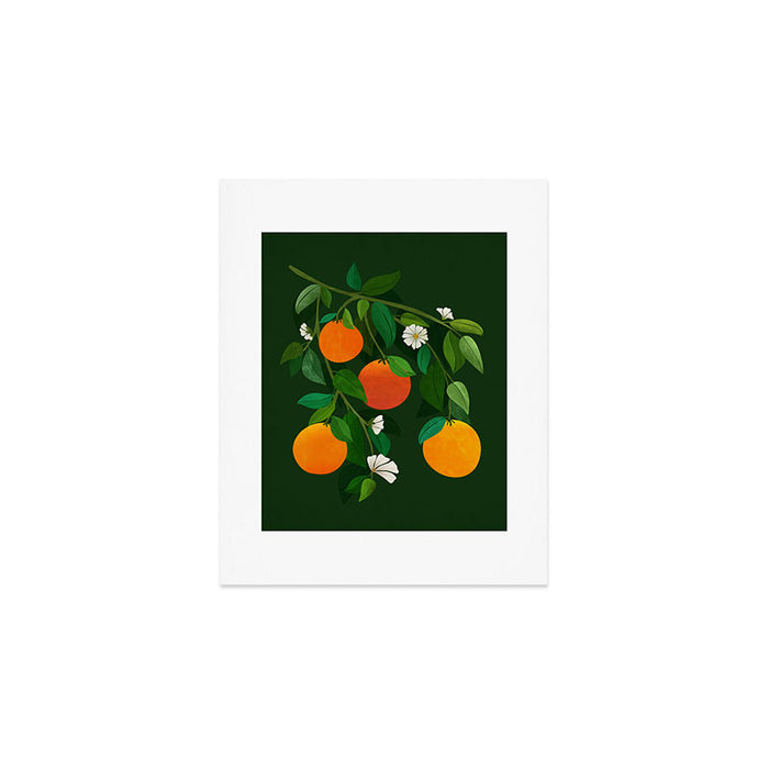 Oranges and Blossoms Botanical Illustration Art Print Gallery Image 1