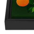 Oranges and Blossoms Botanical Illustration Framed Canvas Print Gallery Image 3