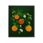 Oranges and Blossoms Botanical Illustration Framed Canvas Print Gallery Image 6