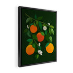 Oranges and Blossoms Botanical Illustration Framed Canvas Print Gallery Image 2