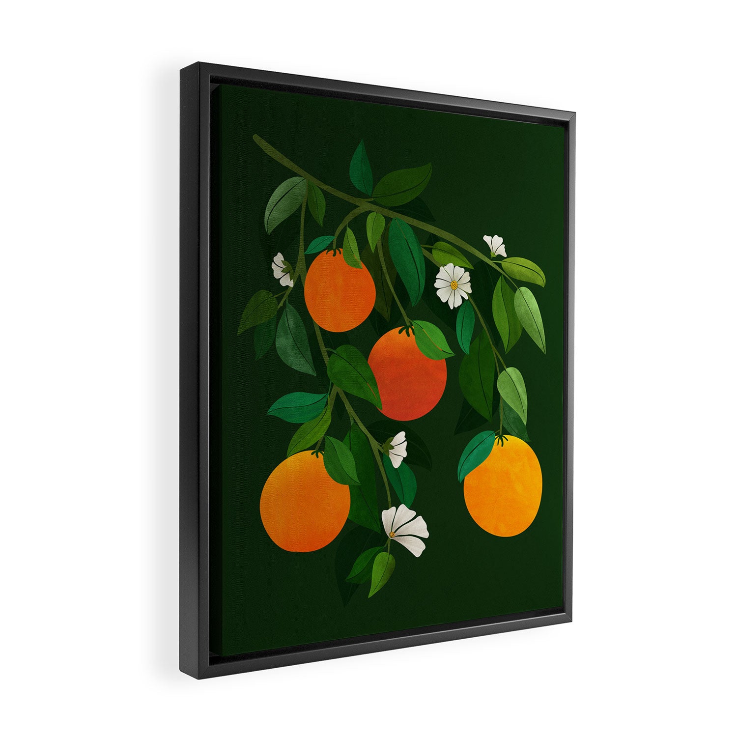 Oranges and Blossoms Botanical Illustration Framed Canvas Print Gallery Image 2