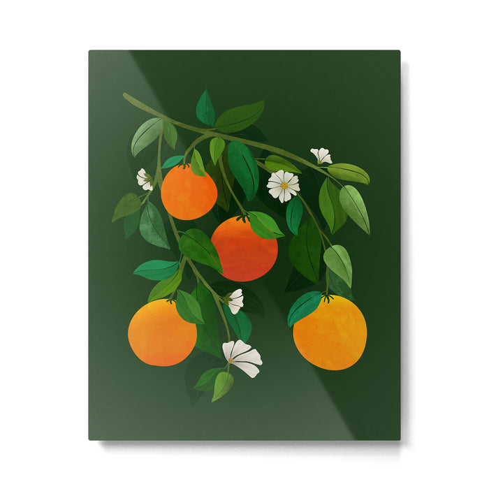Oranges and Blossoms Botanical Illustration Metal Print Gallery Image 1
