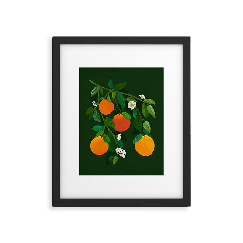 Oranges and Blossoms Botanical Illustration Framed Art Print Gallery Image 5