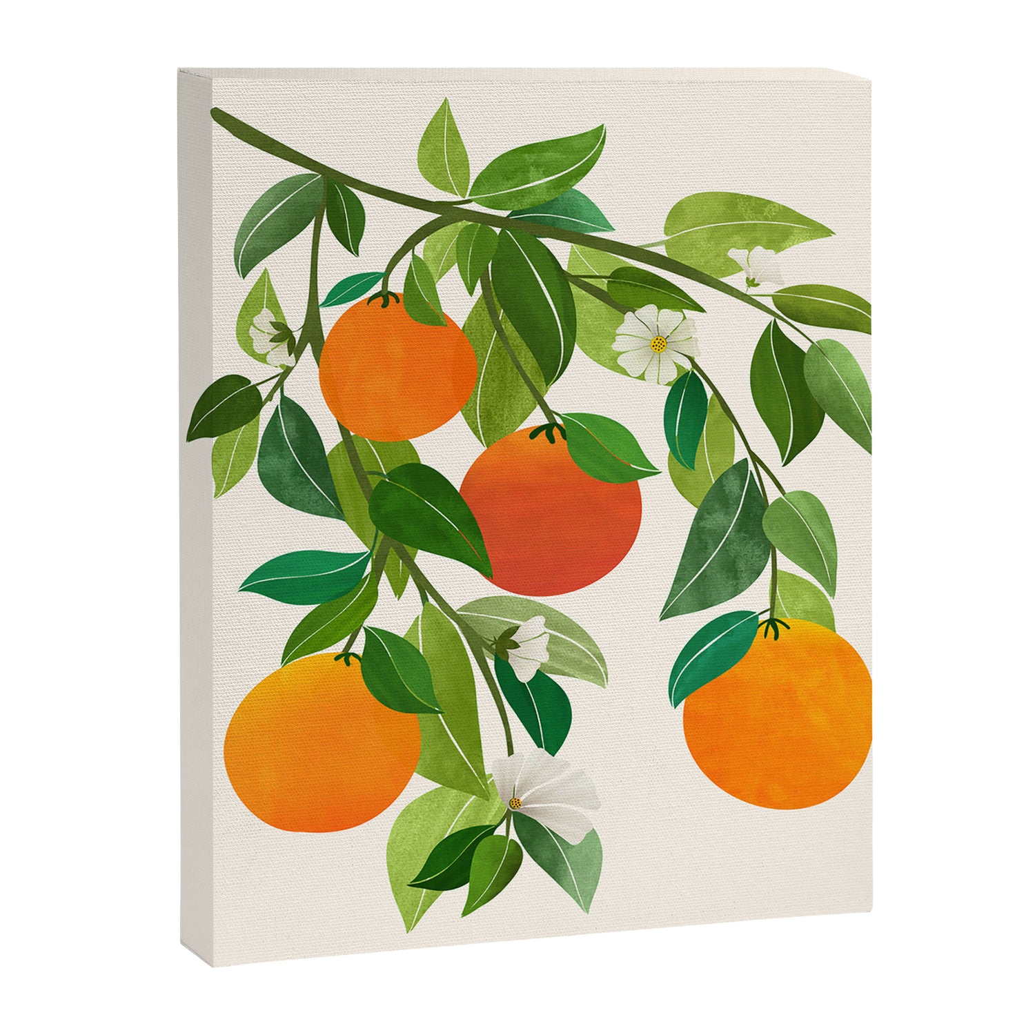 Oranges and Blossoms Tropical Fruit Painting Canvas Print Gallery Image 3