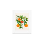 Oranges and Blossoms Tropical Fruit Painting Art Print Gallery Image 1