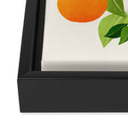 Oranges and Blossoms Tropical Fruit Painting Framed Canvas Print Gallery Image 3