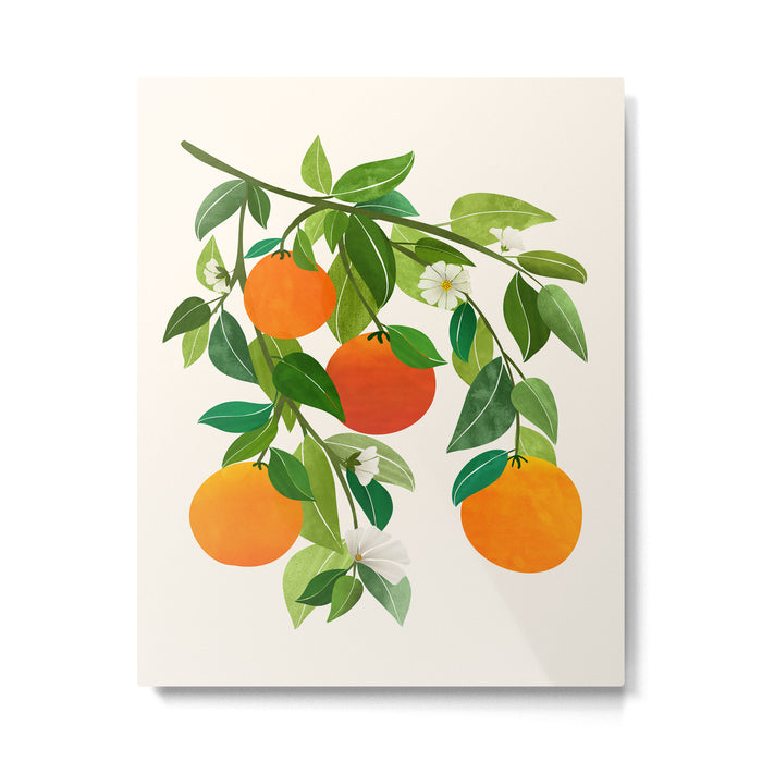 Oranges and Blossoms Tropical Fruit Painting Metal Print Gallery Image 1