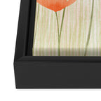 Red Poppy Flower Garden Framed Canvas Print Gallery Image 3