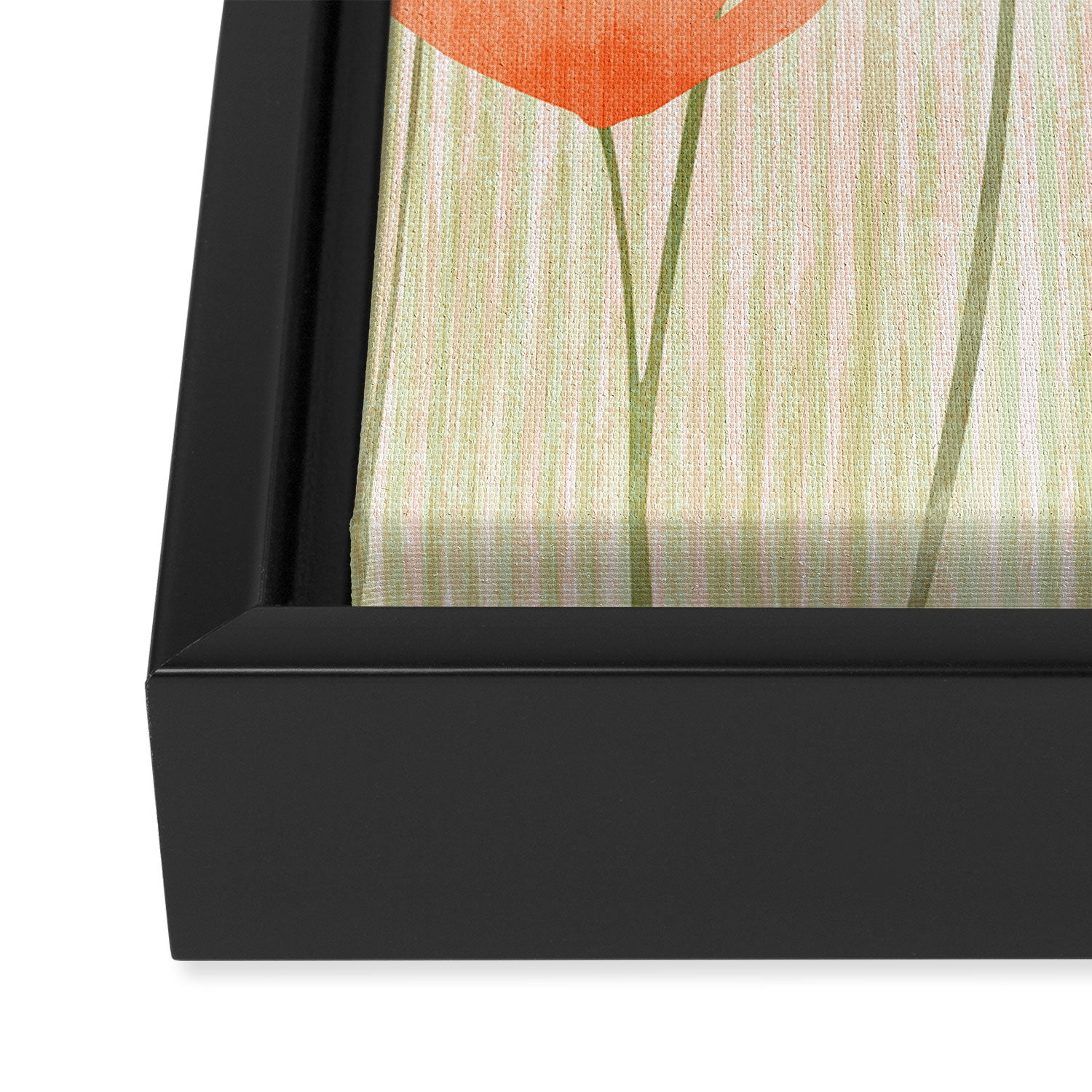 Red Poppy Flower Garden Framed Canvas Print Gallery Image 3