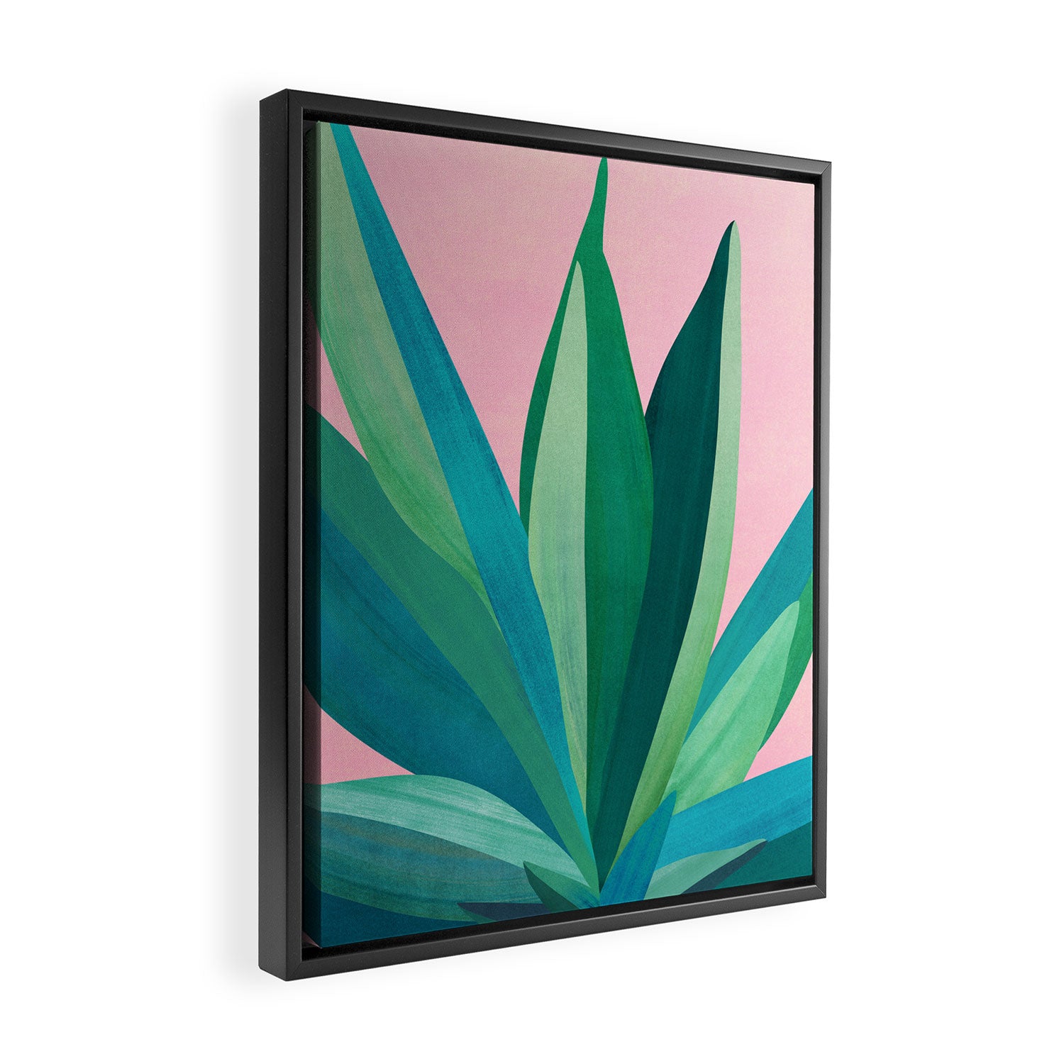 Spring Cactus With Pink Sky / Desert Series Framed Canvas Print Gallery Image 2