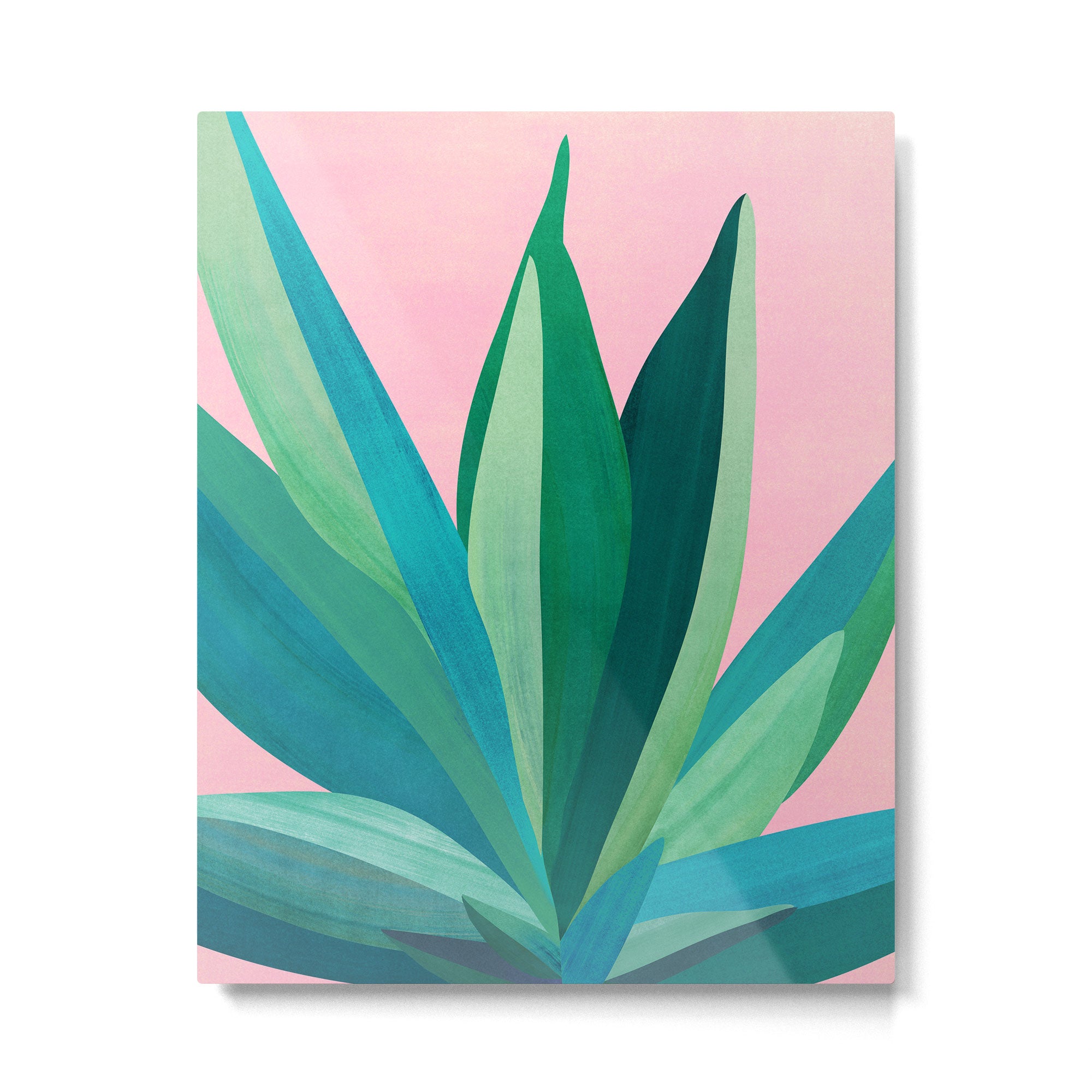 Spring Cactus With Pink Sky / Desert Series Metal Print Gallery Image 6