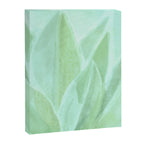 Spring Succulent Canvas Print Gallery Image 6