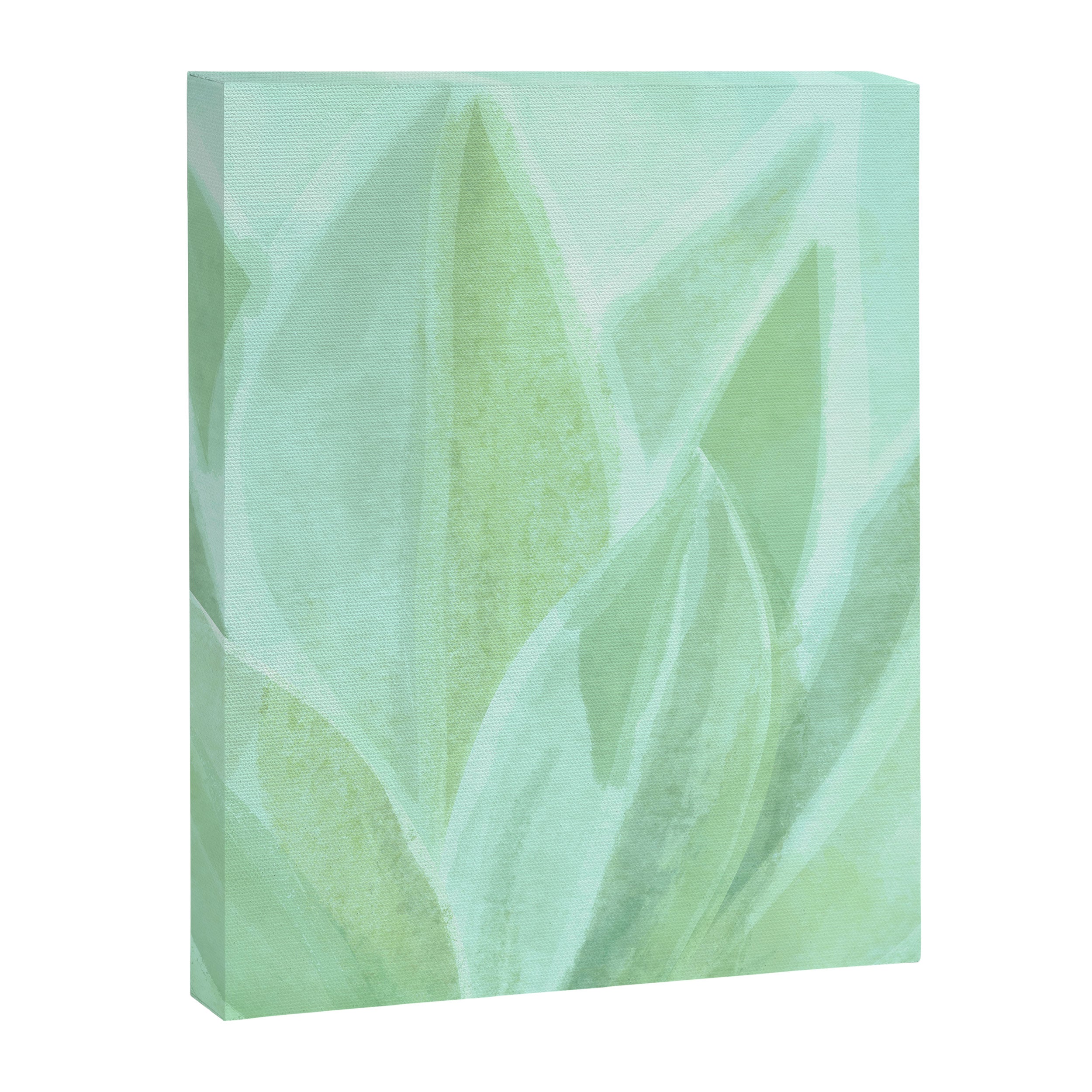 Spring Succulent Canvas Print Gallery Image 6
