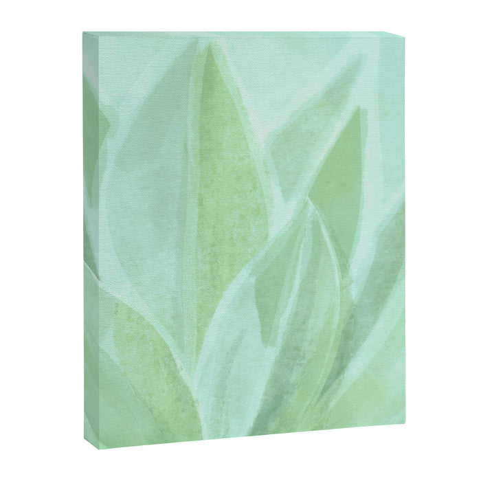 Spring Succulent Canvas Print Gallery Image 1