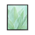 Spring Succulent Framed Canvas Print Gallery Image 6