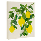 Summer Lemons / Tropical Fruit Series Canvas Print Gallery Image 3
