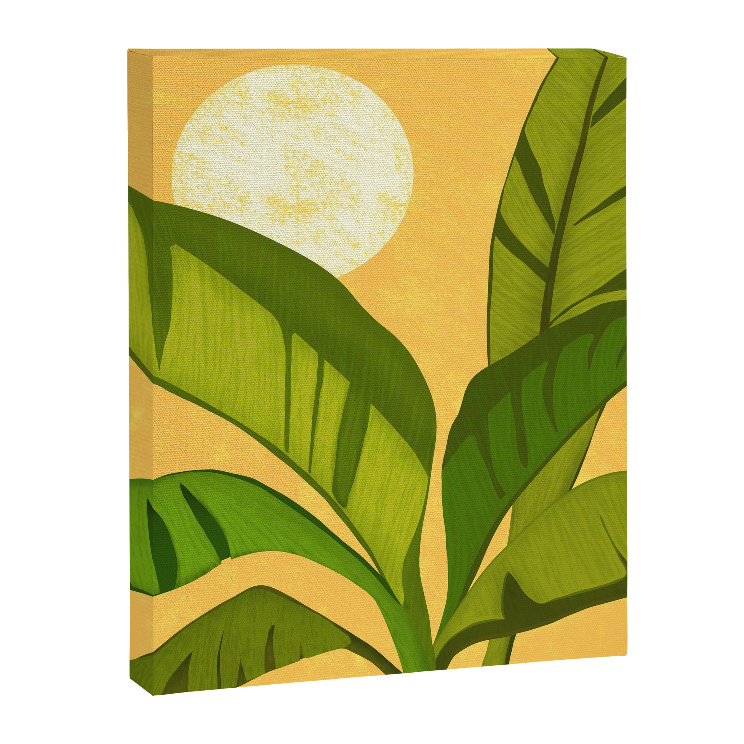 Sunny Afternoon Tropical Landscape  Canvas Print Gallery Image 8