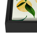 Sunny Lemon Print ~ Yellow and Green Framed Canvas Print Gallery Image 3