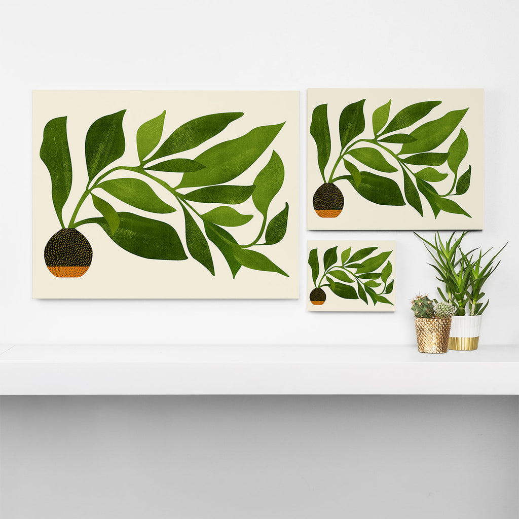 The Wanderer - House Plant Illustration Canvas Print Gallery Image 3