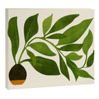 The Wanderer - House Plant Illustration Canvas Print Gallery Image 6