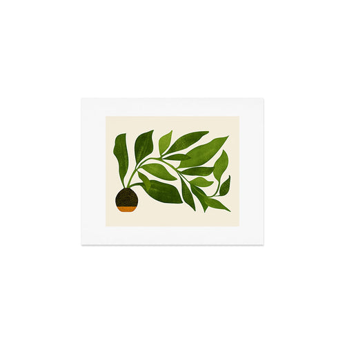The Wanderer - House Plant Illustration Art Print Gallery Image 1