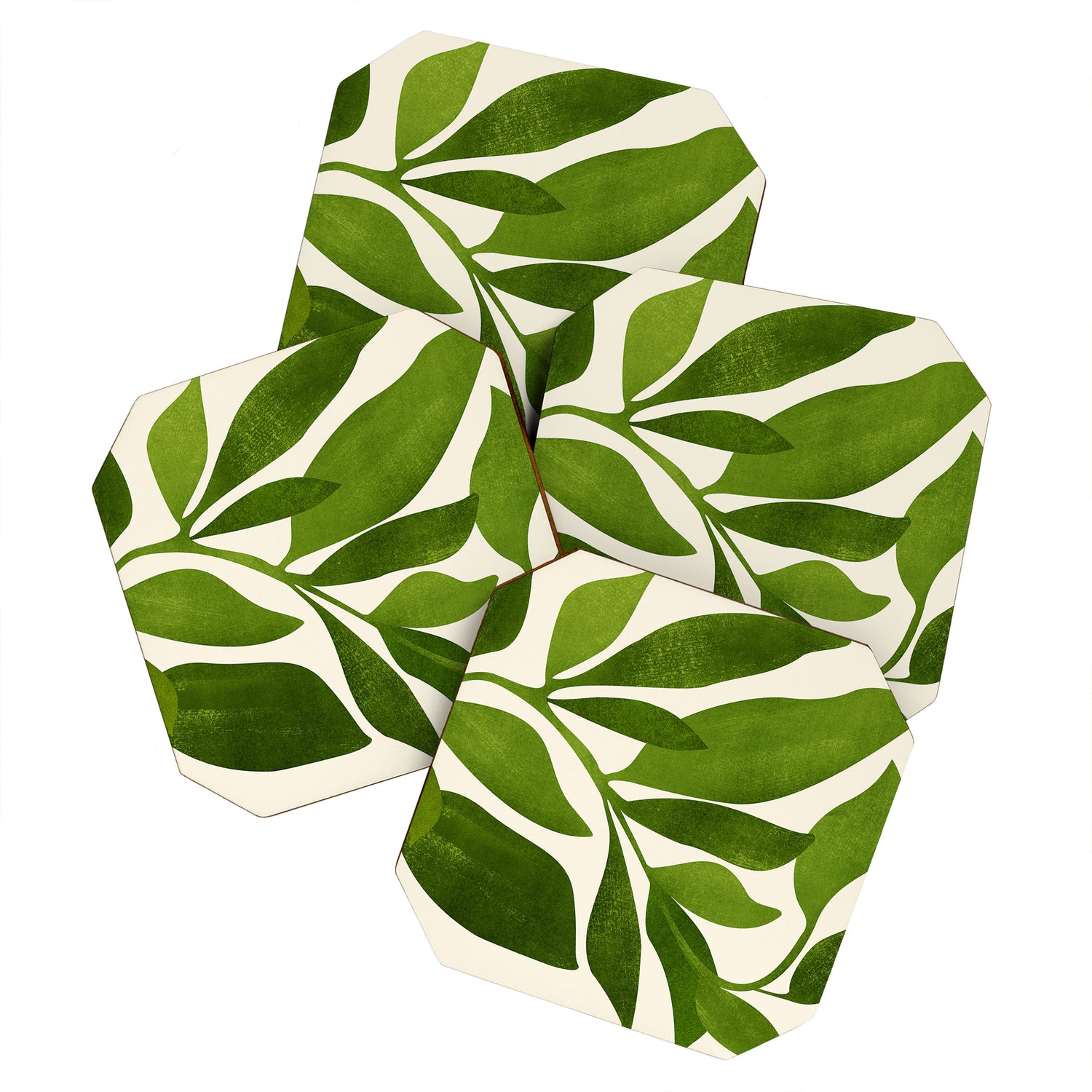 The Wanderer - House Plant Illustration Coaster Gallery Image 1