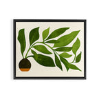 The Wanderer - House Plant Illustration Framed Canvas Print Gallery Image 3