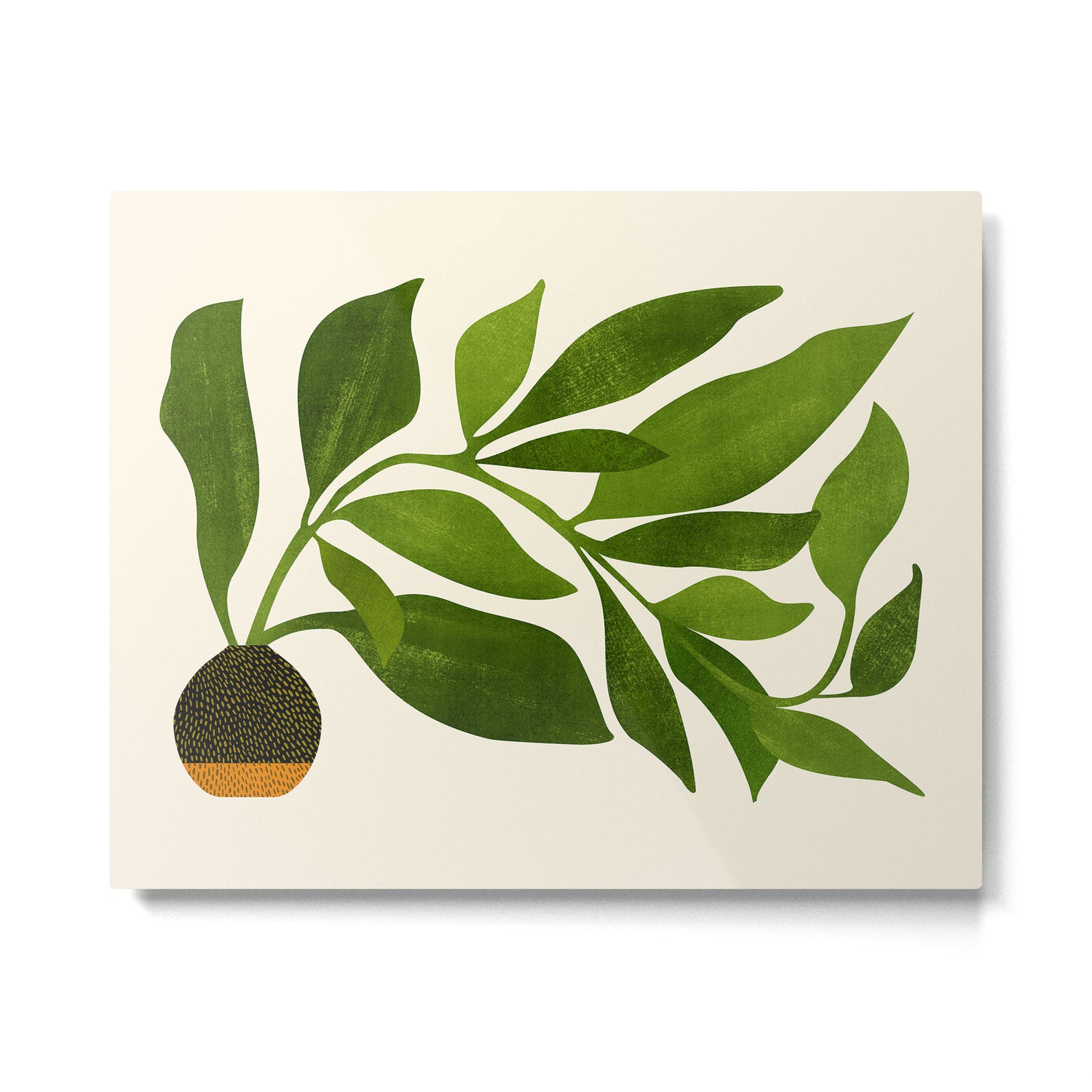 The Wanderer - House Plant Illustration Metal Print Gallery Image 4