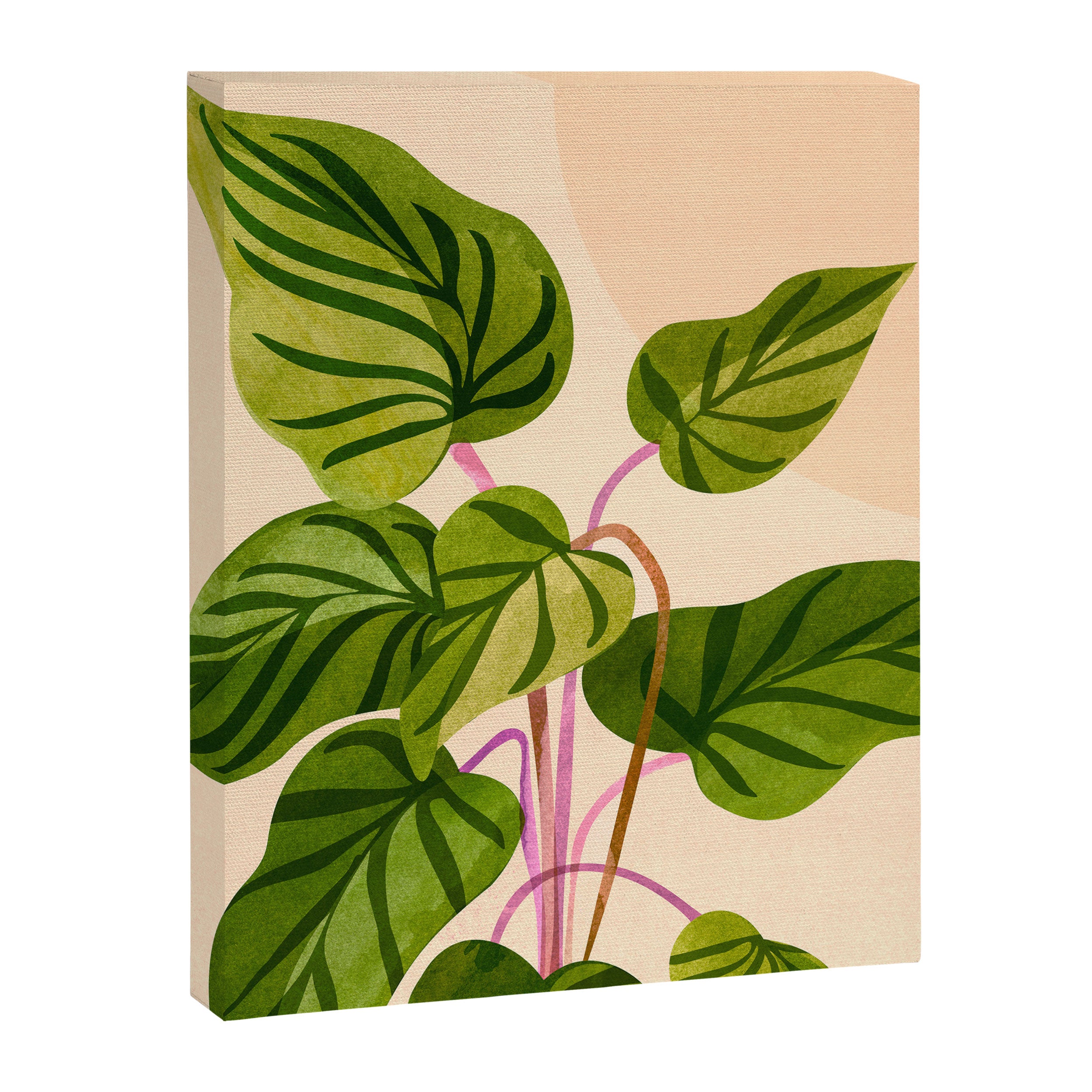 Thriving In The Sun - Cute Botanical Painting Canvas Print Gallery Image 8