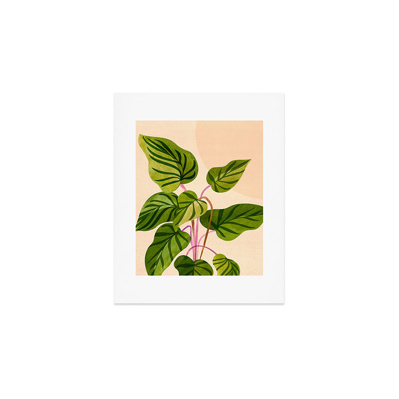 Thriving In The Sun - Cute Botanical Painting Art Print Gallery Image 1