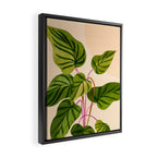 Thriving In The Sun - Cute Botanical Painting Framed Canvas Print Gallery Image 2