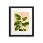 Thriving In The Sun - Cute Botanical Painting Framed Art Print Gallery Image 4