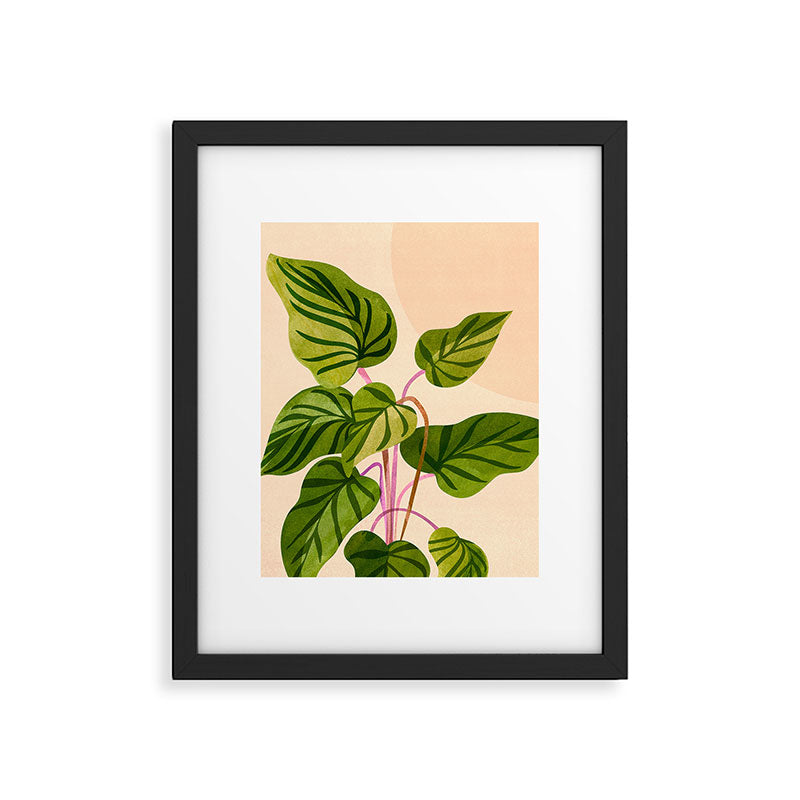 Thriving In The Sun - Cute Botanical Painting Framed Art Print Gallery Image 4