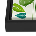 Tropical Plant Study Framed Canvas Print Gallery Image 3